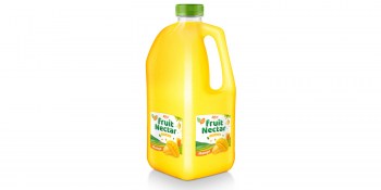 Fruit Nectar 2L with mango flavor from RITA UK